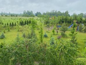 Na zielonej łące...