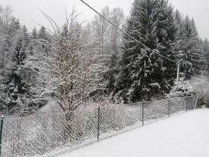 Ferienhaus am Wald