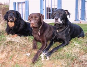 Ferienhäuser Bellana