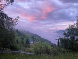 Holiday Home Peters Shed by Interhome