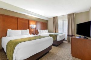 Queen Suite with Two Queen Beds - Non-Smoking room in Comfort Inn & Suites - near Robins Air Force Base Main Gate