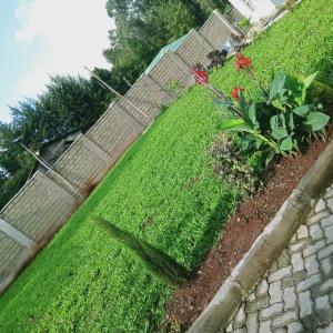 Zoe Homes Greypoint 1 and 2bedroom Apartment 301