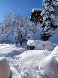 Chalets Chalet Lambersens Cyclamen : photos des chambres