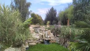 Camp for pitch tents, Camping Eucalyptus - Kapele