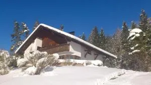 Appartment Gertrud Flatz - Innerbraz