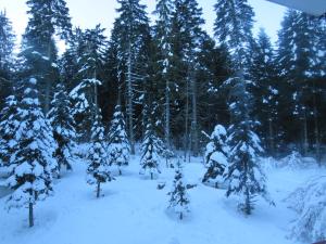 Flora Violet Studio Apartment nr 10