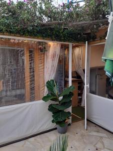 NOUVEAU ! Chambre dHôte Insolite PRIVEE " CŒURS DE PIRATES à BALI EN PROVENCE" SPA SAUNA MASSAGES dans cadre EXOTIQUE dAménagements EXTÉRIEURS DEXCEPTION ÉTÉ comme HIVER BIENVENUE !!!