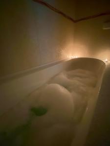 Cozy Seaview Apartment Vollga Central