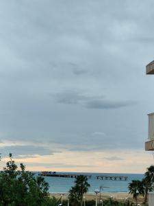 Estrella azul Blue star