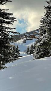 Appartements La Perle des Alpes C10 Apart.4* #Yolo Alp Home : photos des chambres