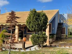 Attic Nature en Albacete - Caudete