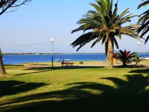 Appartement T2 confortable pour 4 pers, RDC, terrasse, parc arboré, piscine, WIFI, parking gratuit - FR-1-195-4