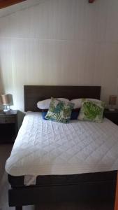 Cabaña Alto la turbina 2