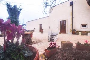 Masseria Casino Ciomme