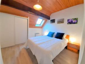 Saint-Lary Soulan T4 lumineux, 6 couchages, parking, proche pistes, exposé sud - FR-1-457-312