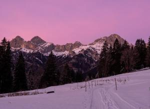 Ferienhaus Alpenglück