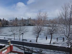 Apartaments Boutique la Torreta del Llac