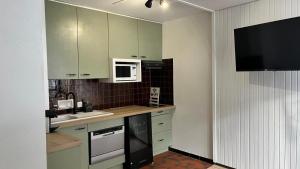 STUDIO DENT DU CAIMAN, CHAMONIX hyper CENTRE, PARKING, VUE MONT BLANC