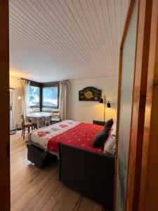 STUDIO DENT DU CAIMAN, CHAMONIX hyper CENTRE, PARKING, VUE MONT BLANC