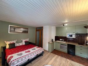 STUDIO DENT DU CAIMAN, CHAMONIX hyper CENTRE, PARKING, VUE MONT BLANC
