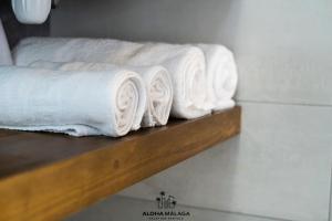 Luxury Duplex with Pool and Padel Court in Town