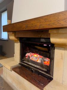 Holiday Home Aleksandar Brzece Kopaonik