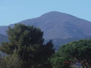 Charmant T2 à Argelès-sur-Mer pour 2-4 personnes - FR-1-388-12