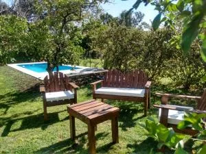 Los jazmines de Duggan - كارمين دي أريكو