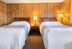 Deluxe Double Room room in Knob Hill Motor Lodge