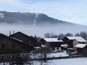 Studio lumineux pour 4 pers, animaux admis, wifi inclus, au centre de Samoëns - FR-1-629-120