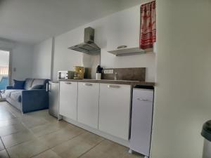 Appartements Studio Saintes-Maries-de-la-Mer, 2 pieces, 4 personnes - FR-1-475-65 : photos des chambres