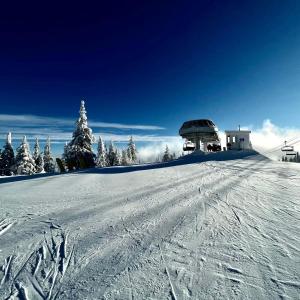 Magical Views at Southpoint Big White! Best Location!