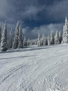 Magical Views at Southpoint Big White! Best Location!