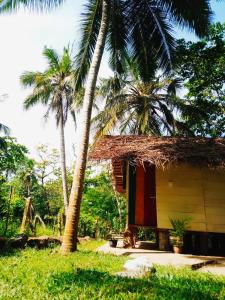 Hidden Well Hiriketiya