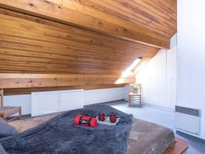 Appartements Duplex ensoleille pour 6 pers avec balcon, parking et proche des remontees mecaniques a Saint Lary - FR-1-296-265 : photos des chambres