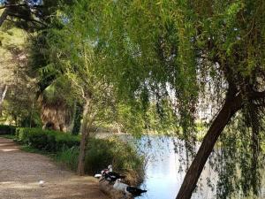 Appartements T3 Climatise avec Wi-Fi, Parking, Piscine et Tennis - 200 m des Plages et Commerces - FR-1-316-95 : photos des chambres
