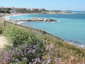 Appartements Appartement T2 avec piscine, tennis et parking - A 400 m des plages et commerces - FR-1-316-16 : photos des chambres