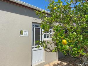 Lemon Tree Cottage