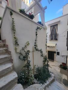 QUART0 GREC0 Suite 15