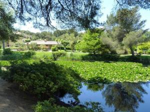 Appartements T2 avec Parking - Piscine et Tennis - a 200 m des Plages - FR-1-316-196 : photos des chambres