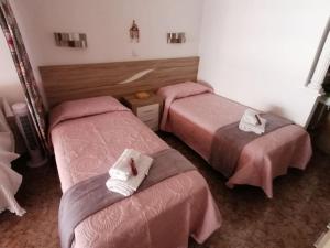 Beautiful apartment on the beachfront