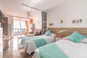 Beautiful apartment on the beachfront