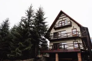 Котедж Яблуниця - 拉泽希纳