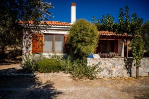 Seafront Traditional Stone House in Sunset Olive Grove - B