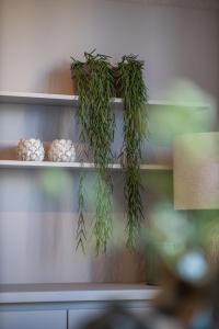 The Harbour luxurious, use of hotel swimming pool and sauna