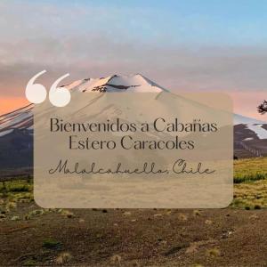 Cabañas Estero Caracoles Malalcahuello