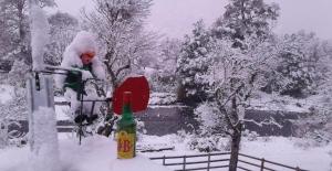 Cabañas Estero Caracoles Malalcahuello