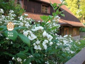 obrázek - Rony Villa - In the middle of nature