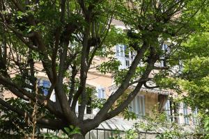 Appartements La Madone : photos des chambres