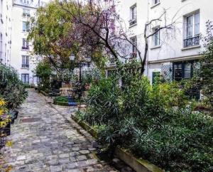 Renovated ! City of Lights, light your visit